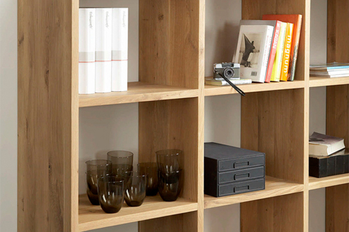 Illustration of Shelf